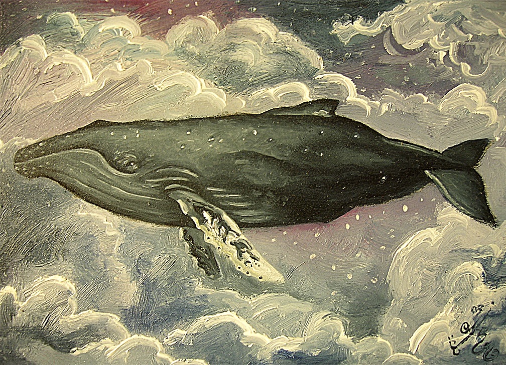 The Whale Series