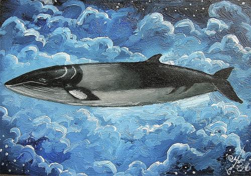 Minke Whale