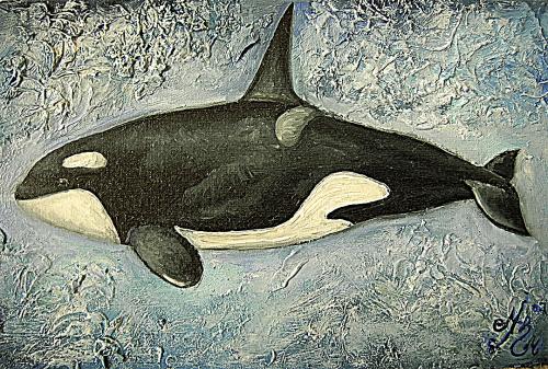 Orca Whale